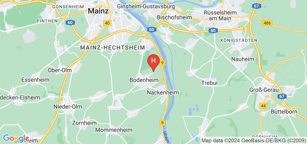 Rheinallee 95,55294 Bodenheim