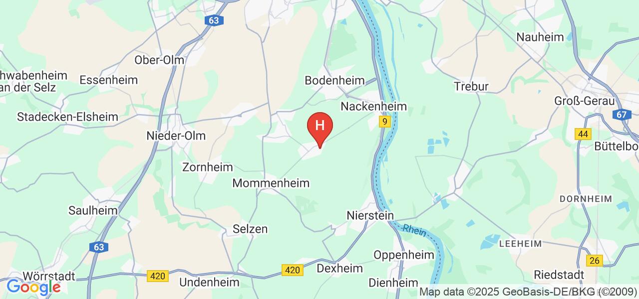 Am Birnbaum 2,55296 Lörzweiler
