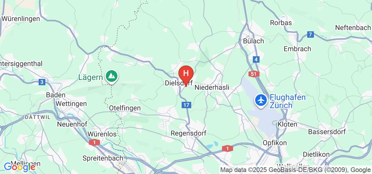 Pelzwiesenstrasse 12,8157 Dielsdorf