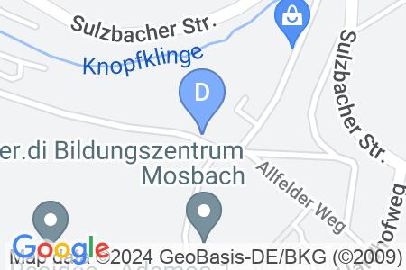 Alte Bergsteige 117,74821 Mosbach
